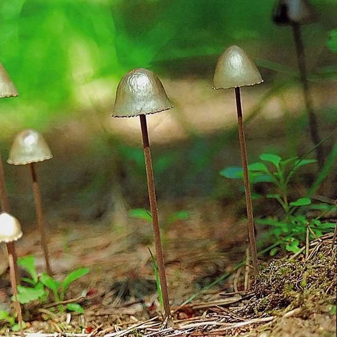 VARPELINIS MĖŠLINUKAS